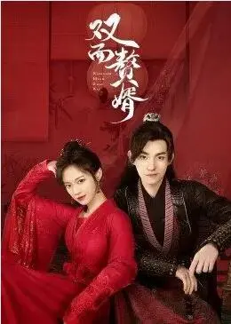 《双面赘婿》：古装版“霸道总裁”？这反转我给满分！